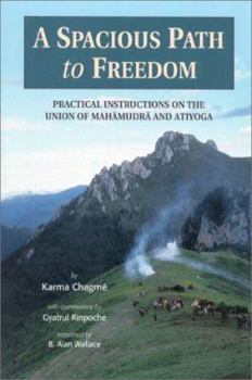 Paperback A Spacious Path to Freedom: Practical Instructions on the Union of Mahamudra and Atiyoga Book