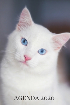 Agenda 2020: Hebdomadaire 1 Semaine par page Format A5 | Janvier 2020 à Décembre 2020 | Planificateur Organiseur Semainier avec Calendrier et Carnet ... Pour les Amoureux des Chats (French Edition)