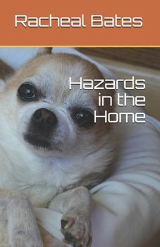 Paperback Hazards in the Home Book