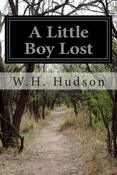 Paperback A Little Boy Lost Book