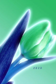 Paperback 2 0 2 0: M?dchen - Pubert?t - Frau - Familie - Notizbuch - Liebe - Tagebuch - Junge - Mann - Kalender [German] Book