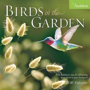 Calendar Audubon Birds in the Garden Wall Calendar 2020 Book