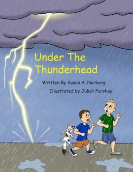 Paperback Under the Thunderhead Book