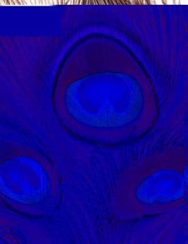 Paperback Peacock Composition Notebook: College Ruled 90 Sheets 8.5" x11" Book