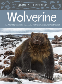 Hardcover Animals Illustrated: Wolverine Book