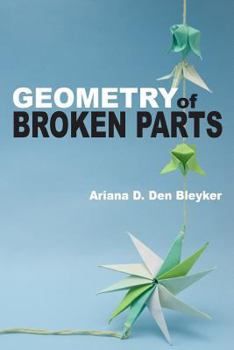 Paperback Geometry of Broken Parts Book