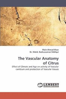 Paperback The Vascular Anatomy of Citrus Book