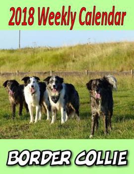 Paperback 2018 Weekly Calendar Border Collie Book