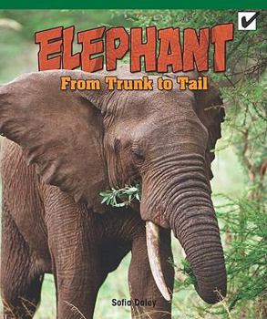 Paperback Elephant: From Trunk to Tail Book