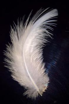 Paperback A Stunning White Feather Journal: 150 Page Lined Notebook/Diary Book
