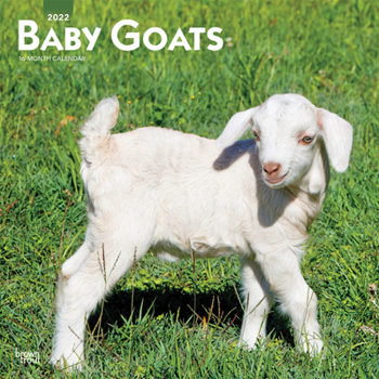 Baby Goats 2022 12 x 12 Inch Monthly Square Wall Calendar, Domestic Animals