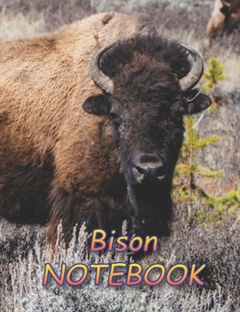 Bison NOTEBOOK: notebooks and journals 110 pages (8.5"x11")