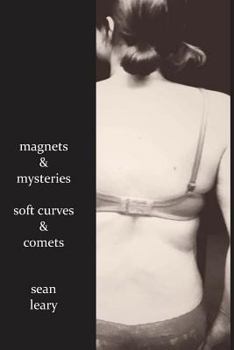 Paperback Magnets and Mysteries, Soft Curves and Comets Book