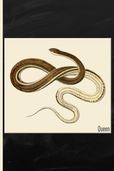 Paperback Snake: Queen Watercolor: 6x9 College Ruled Notebook Book