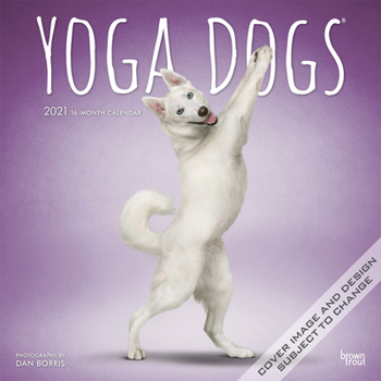 Calendar Yoga Dogs 2021 Square Book