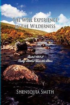 Paperback The Well Experience in the Wilderness Book
