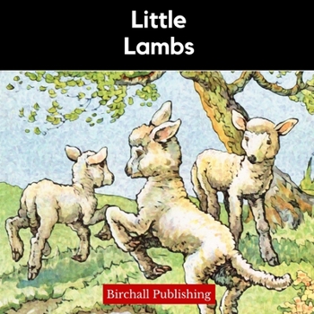 Paperback Little Lambs Book