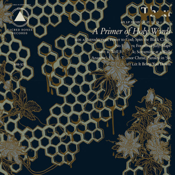 Vinyl Primer Of Holy Words Book
