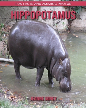 Hippopotamus: Fun Facts and Amazing Photos