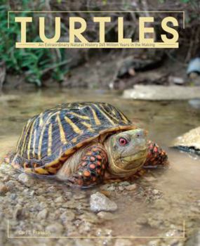 Hardcover Turtles Book