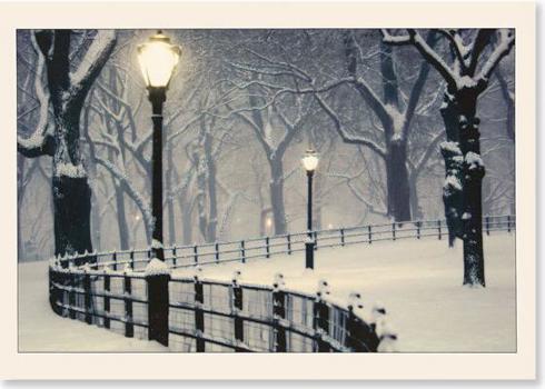 Cards Peaceful Night: Deluxe Holiday Cards Book