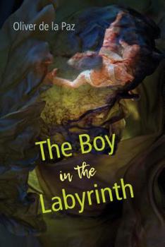 Paperback The Boy in the Labyrinth: Poems Book