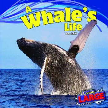 A Whales Life - Book  of the Living Large