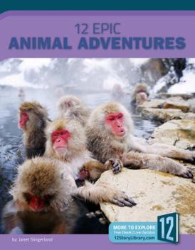 Paperback 12 Epic Animal Adventures Book