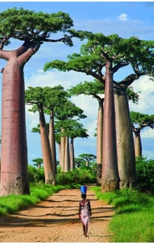 Hardcover Journey to Our Greatness, The Destination is Beautiful! Book