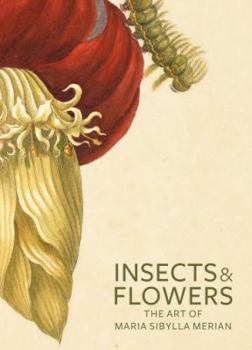 Paperback Insects and Flowers: The Art of Maria Sibylla Merian Book
