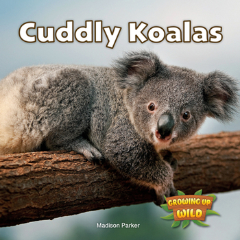 Paperback Cuddly Koalas Book