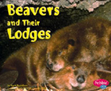 Hardcover Beavers and Their Lodges Book