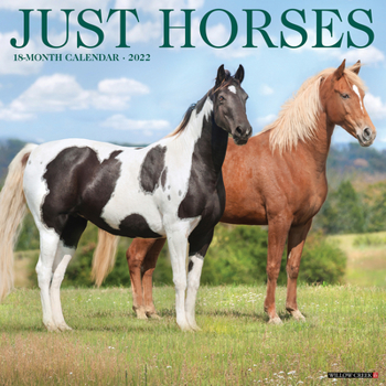 Calendar Just Horses 2022 Wall Calendar Book
