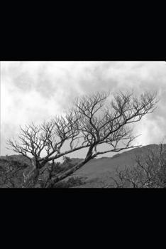 Paperback Memoirs of A Mad Man: Journey Through Darkness Book