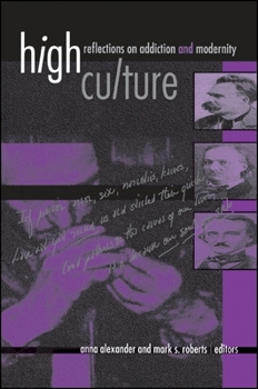 Paperback High Culture: Reflections on Addiction and Modernity Book