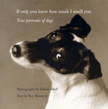 Hardcover If Only You Knew How Much I Smell You: True Portraits of Dogs Book