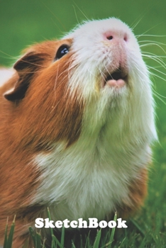 Sketchbook: Hamster, Sketchbook for Sketching-120 Pages(6"x9") Matte Cover Finish
