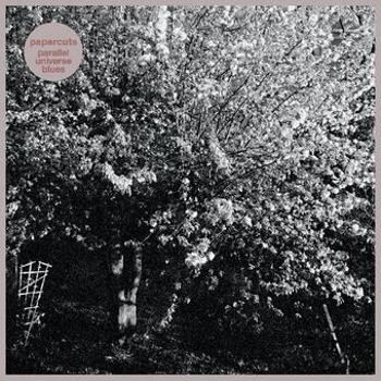 Vinyl Parallel Universe Blues Book