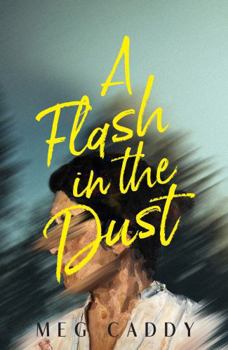 Paperback A Flash in the Dust Book