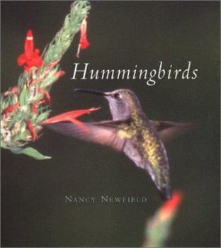 Hardcover Hummingbirds Book