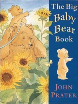 Hardcover The Big Baby Bear Book