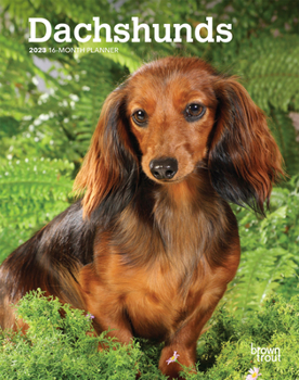 Calendar Dachshunds 2023 Engagement Book