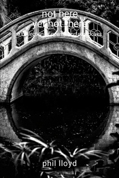 Paperback not here yet not there: transition Book