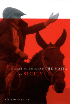 Paperback Village Politics and the Mafia in Sicily: Second Edition Book