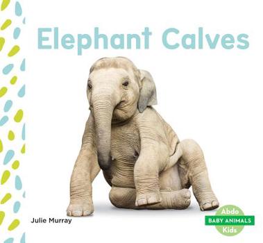 Elephant Calves - Book  of the Baby Animals