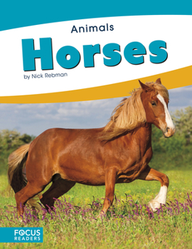 Horses - Book  of the Focus Readers' Animals