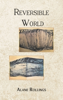 Hardcover Reversible World Book