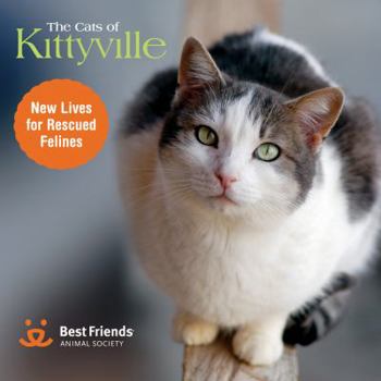 Hardcover The Cats of Kittyville: New Lives for Rescued Felines Book