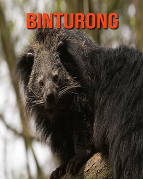 Binturong: Amazing Facts about Binturong