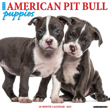Calendar Just American Pit Bull Terrier Puppies 2025 12 X 12 Wall Calendar Book